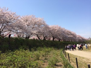 春にぴったり！　小山市にあるカットが人気の美容室カルマルーチェ