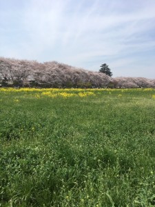 権現堂　小山市にあるカットが人気の美容室カルマルーチェ