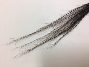 縮毛矯正は万能か　小山市にあるカットが人気の美容室カルマルーチェ