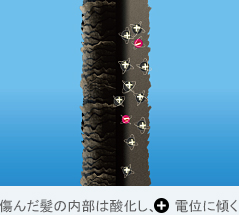 電子トリートメントとは？　小山市にあるカットが人気の美容室カルマルーチェ