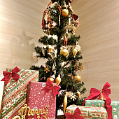 12月スタート 小山市にあるプライベートサロン 美容室カルマルーチェ