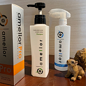 9月スタート 小山市にあるカットが人気の美容室カルマルーチェ