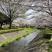 新年度スタート